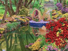 -上海共青森林公园