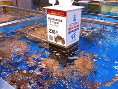 -盒马X会员店(王府井奥莱UP TOWN店)