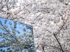 -龙美术馆(西岸馆)