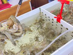 -华源餐厅·海鲜大排档(日月贝店)