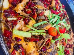 -老板恋上鱼(恒隆广场店)