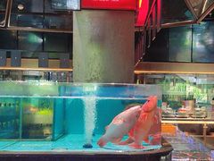 -阿伟海鲜楼·福建菜(延寿店)