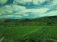 -塞罕坝国家级自然保护区