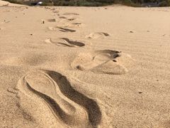 -玉龙沙湖景区