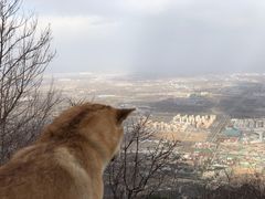 -阳台山自然风景区