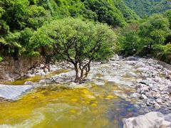 -黑河国家森林公园
