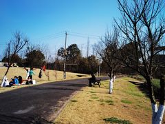 -国际非物质文化遗产博览园