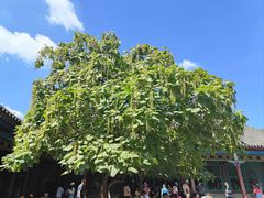 -张学良旧居陈列馆