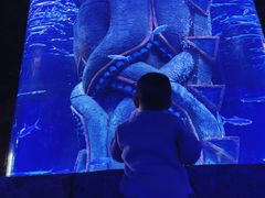 -波塞冬旅游度假区