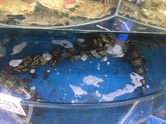 -鼓歌海鲜舫·手抓海鲜(大学城店)