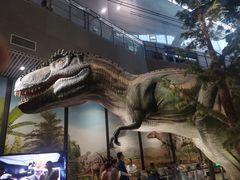 -湖南省地质博物馆