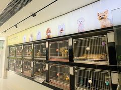 -翊宠yipet猫狗购宠庄园犬舍•猫舍