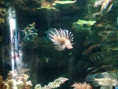 图像0050-蠡湖中央公园