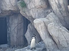 -上海野生动物园