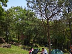 -南京市无想山景区