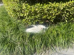 -颐和路民国时期公馆风貌区