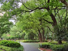 -徐家汇源景区-衡山公园