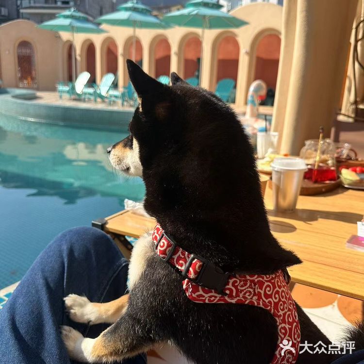 打卡n次的摩洛哥风咖啡馆—龙坞夏沫花园