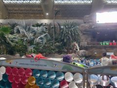 -杭州开元森泊度假乐园