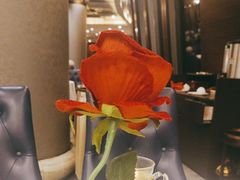 -粤菜王府·海鲜·茶市·海景餐厅(大梅沙店)