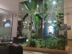 -IL Forno 意坊·意大利餐厅(花园店)