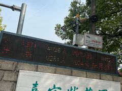 -嘉定紫藤园