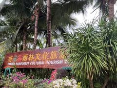 -呀诺达热带雨林