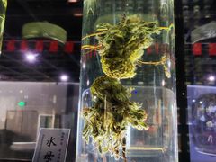 -广东中医药博物馆