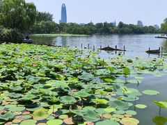 -济南大明湖景区