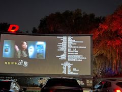 -枫花园汽车电影院(朝阳公园店)