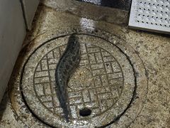 -大理.老字号渝记酸萝卜乌鱼(古城总店)