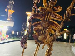 -日照灯塔风景区