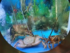 -辉哥火锅(虹桥路店)