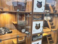 -台山新孖宝柴火黄鳝饭(三合温泉店)