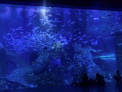 -哈尔滨波塞冬海底世界