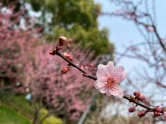 -静安雕塑公园