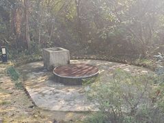 -盘龙城国家考古遗址公园