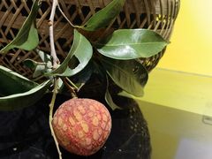 -华润万家(东葛店)