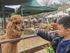 -盈香心动乐园