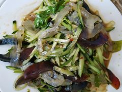 黄瓜老醋蛰头-王鹏家常菜馆
