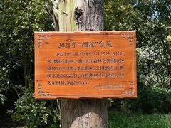 -上海滨江森林公园