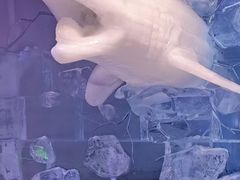 -世界之窗阿尔卑斯冰雪世界