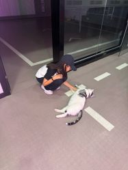 -CICI街舞专业培训