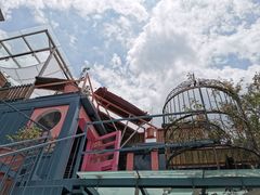 -喵屿·大理花园猫咖