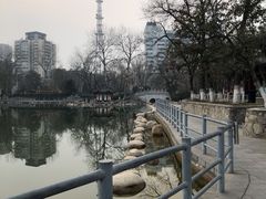 -莲湖公园