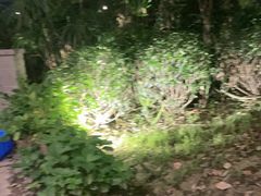 -大妙火锅·非物质文化遗产(东湖公园店)