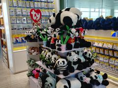 -福州长乐国际机场