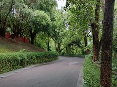 -金鸡山公园
