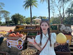 -珠海海泉湾神秘岛亲子乐园