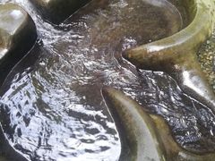 -成都市活水公园